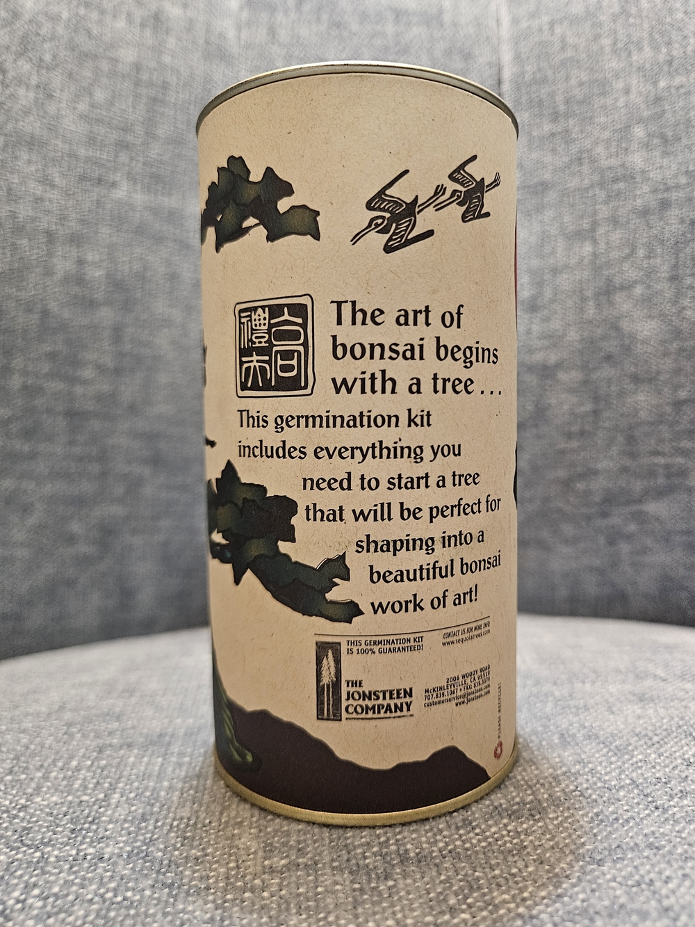 Bonsai Germination Kit - Cream & Green